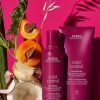 Capelli e cuoio capelluto Aveda | Shampoo Per Il Controllo Del Colore